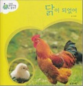 닭이 되었어