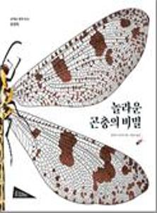 놀라운 곤충의 비밀:날개를 펼쳐 보는 플랩북
